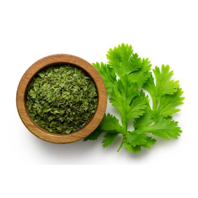 Freeze Dried Coriander 4