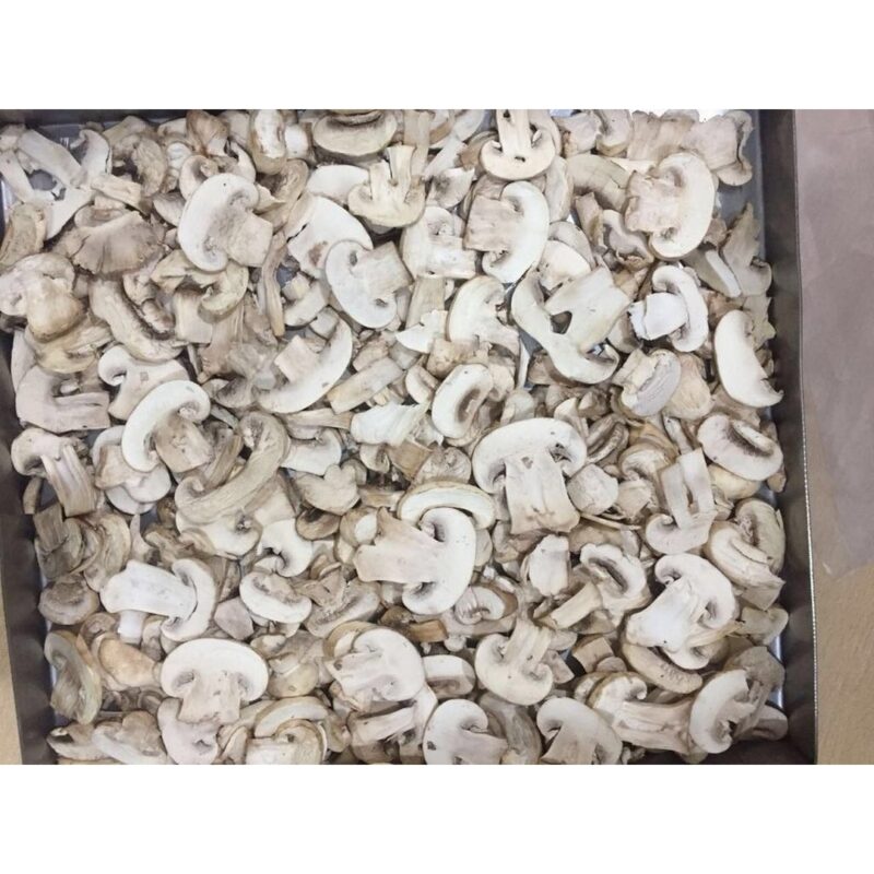 Freeze Dried Mushroom