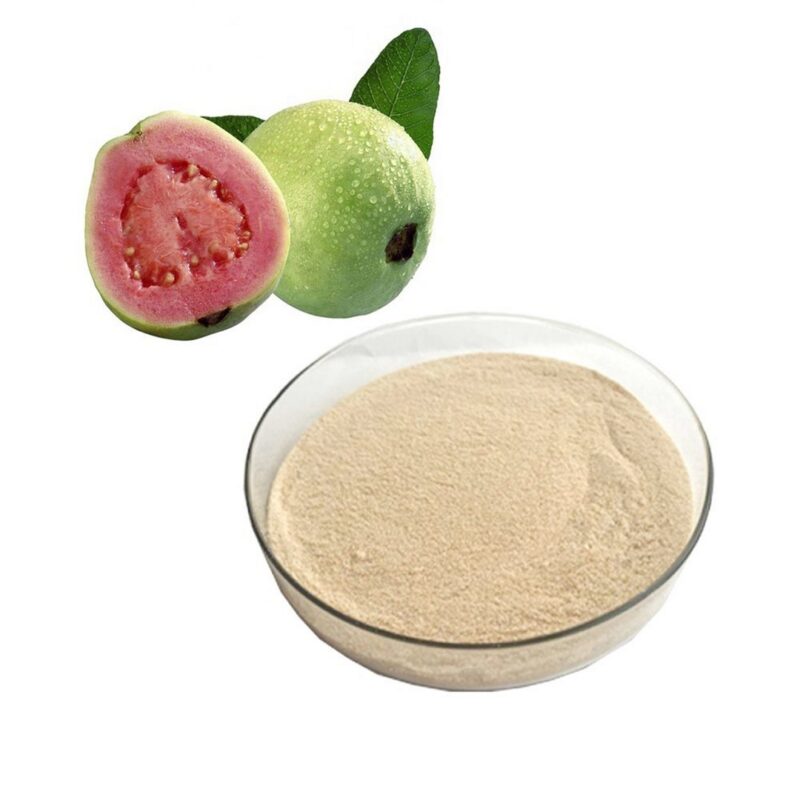 Freeze Dried Pink White Guava 5